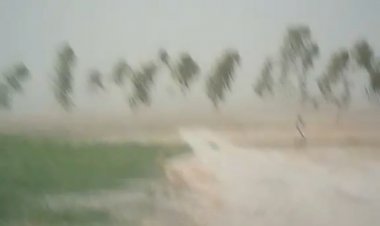 आंधी ने जनजीवन किया अस्त व्यस्त