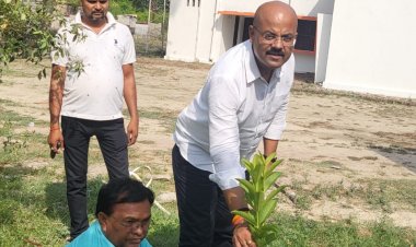 पर्यावरण दिवस और मुख्यमंत्री योगी आदित्यनाथ के जन्मदिवस पर बिरनो प्रमुख ने किया पौधरोपण