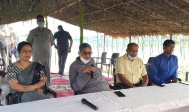 पौधों के तनाव को समाप्त करने के लिये सॅंगीत का उपचार करें!