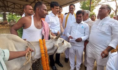 राज्यमंत्री ने किया अस्थाई गौशाला का निरीक्षण