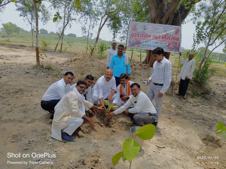 पर्यावरण सुरक्षा ही जीवन रक्षा है- ब्लाक प्रमुख राजन सिंह