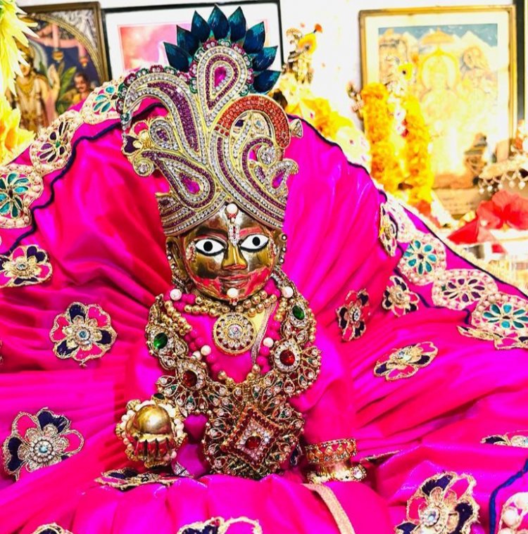 लक्ष्मी नारायण मंदिर में मनाया गया भगवान श्री कृष्ण जन्मोत्सव