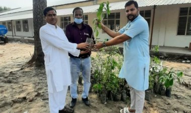 गणेश चतुर्थी पूजा महोत्सव पर किया पौधरोपण