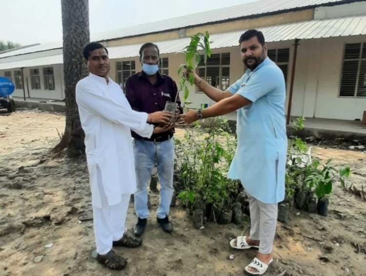 गणेश चतुर्थी पूजा महोत्सव पर किया पौधरोपण