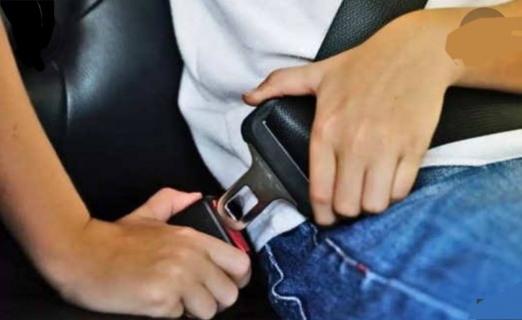 कार में पिछली सीट पर बैठने वालों के लिए भी सीटबेल्ट अनिवार्य, केंद्र सरकार का बड़ा फैसला