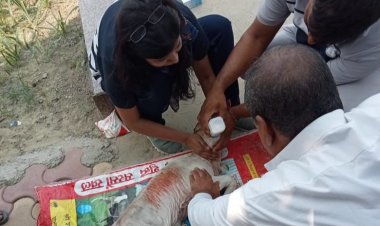 गौ माता और नवजात बच्चे को समय से चिकित्सा और उपचार प्रदान कराया