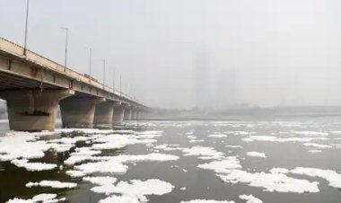 कृष्ण! तेरी यमुना कब स्वच्छ होगी? दिल्ली में