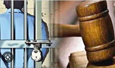 भाई के हत्यारे को मिला आजीवन कारावास का सजा,  कोर्ट ने सुनाया फैसला