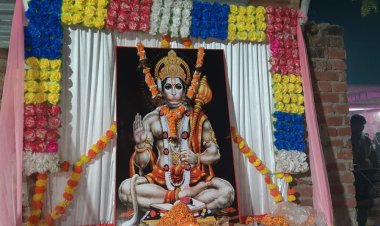 लंगूर बंदर के मौत पर हुआ भंडारे का आयोजन