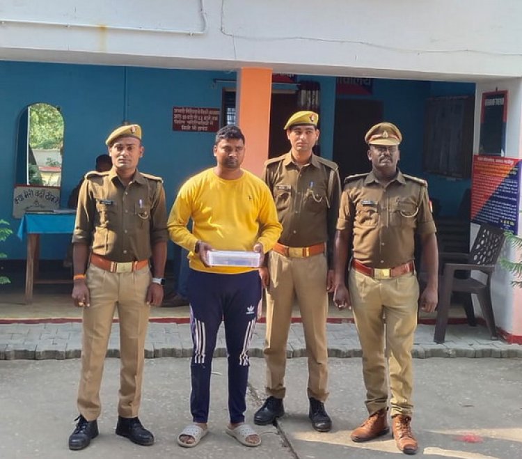 गौवंश और अवैध तमंचा संग एक गिरफ्तार