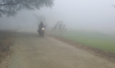 कोहरे के चादर से हाल बेहाल