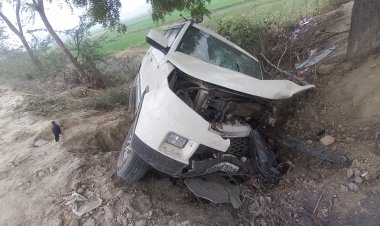 आवारा पशु को बचाने के चक्कर में पलटी कार, एक घायल
