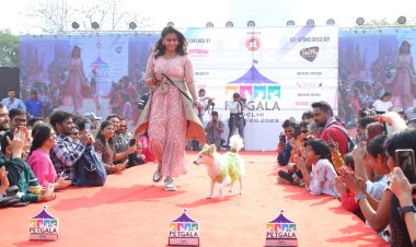 भारत का सबसे बड़ा डॉग एवं कैट शो पेटगाला दिल्ली का नोएडा एक्सपो सेंटर में हुआ आयोजन