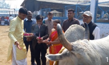 गाय अंगीकरण दिवस पर गौ भक्तों ने करीब 350 गायों का किया अंगीकरण