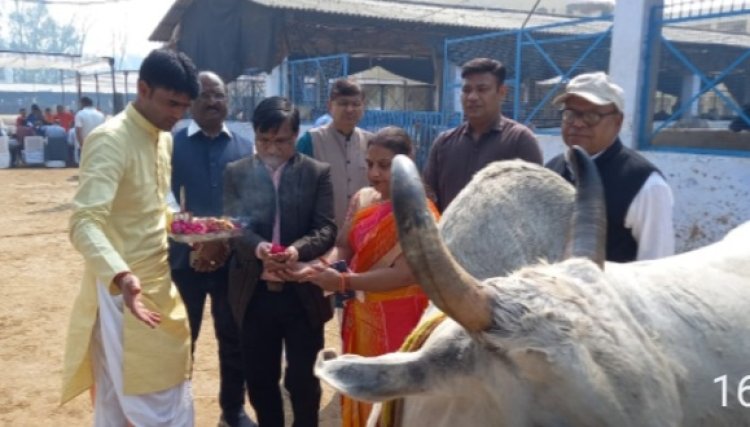 गाय अंगीकरण दिवस पर गौ भक्तों ने करीब 350 गायों का किया अंगीकरण