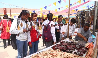 30 राज्यों की हस्तशिल्प कला का उत्सव सरस मेला 05 मार्च तक