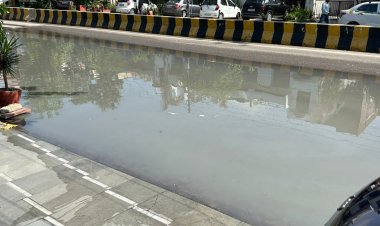 सीवर लाईन ओवरफ्लो होने से सेक्टर 27 के ई , एफ ब्लॉक बने नर्क