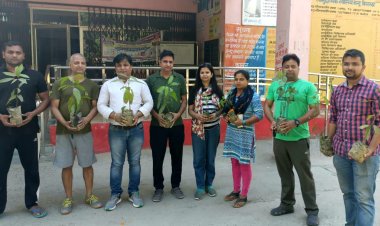 सीएचसी बिसरख में किया गया पौधा रोपण