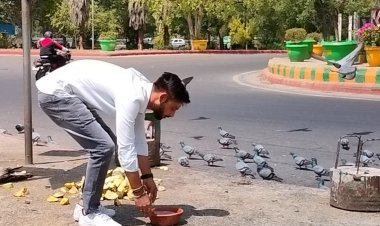 भीषण गर्मी में बेजुबान पक्षियों को बचाने के लिए सामाजिक संस्था का लगातार प्रयास जारी