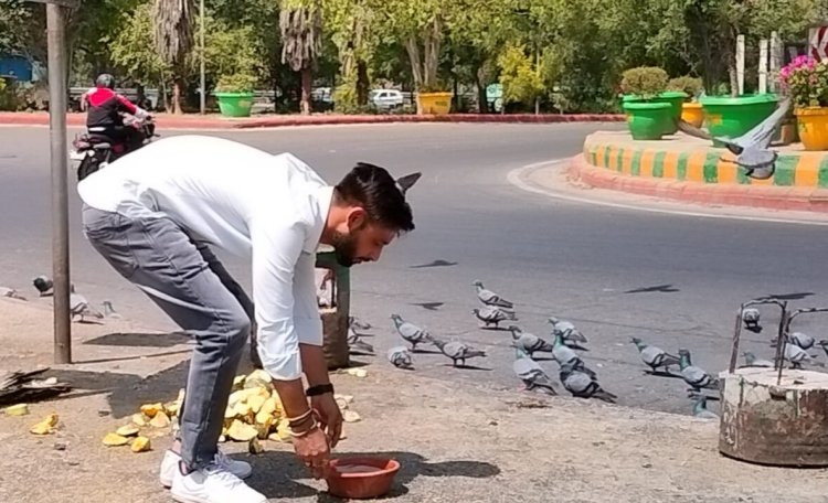 भीषण गर्मी में बेजुबान पक्षियों को बचाने के लिए सामाजिक संस्था का लगातार प्रयास जारी