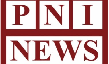 पिकप के धक्के से युवक घायल