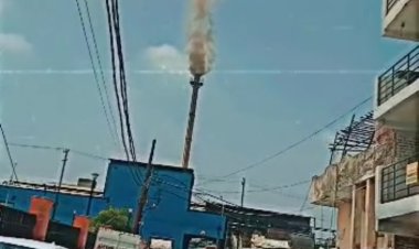 संदीप पेपर मिल के प्रदूषण के चलते एनजीटी में याचिका दायर