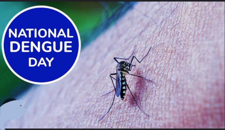 16 मई को मनाया जाएगा राष्ट्रीय डेंगू दिवस