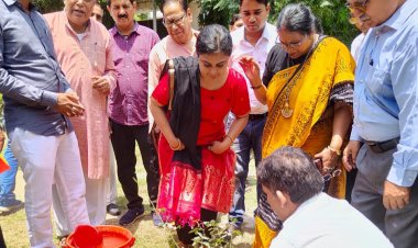 नोएडा लोक मंच द्वारा दवा बैंक में औषधीय वृक्षोंरोपण