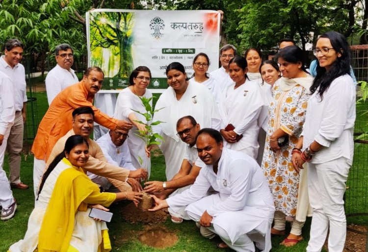 सेक्टर 9 के पार्क में ब्रह्माकुमारीज सेवाकेंद्र के सदस्यों द्वारा किया गया पौधारोपण