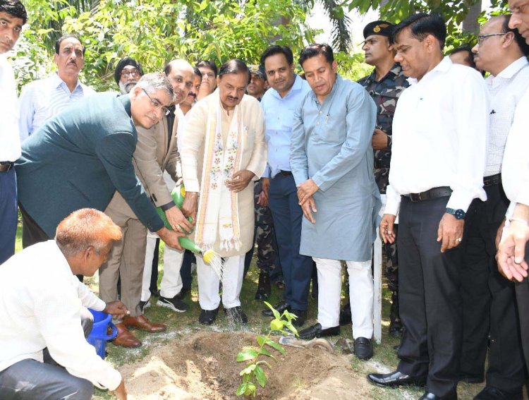 विष्व पर्यावरण दिवस पर आईटीआई कालेज प्रांगण में हुआ पौधारोपण