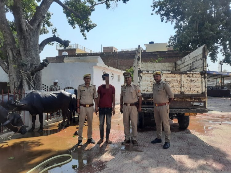 मरदह पुलिस के हत्थे चढ़ा पशु तस्कर