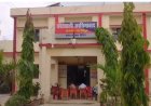 तेज रफ्तार कार पेड़ से टकराई तीन घायल हालत गंभीर 