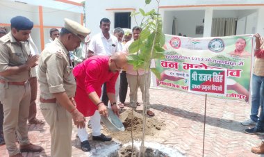 बिरनो ब्लाक प्रमुख राजन सिंह ने पौधरोपण कर किया वन महोत्सव का शुरुवात 