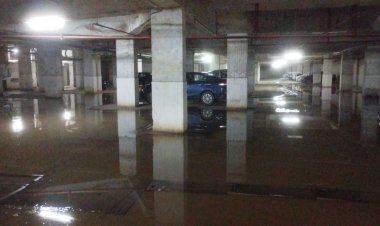 देविका गोल्ड होम्ज सोसाइटी में फैला डेंगू का खतरा, निवासी भयभीत