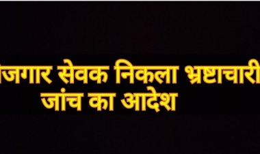 रोजगार सेवक ने मनरेगा, आवास, पौधरोपण, और शौचालय में किया बंपर घोटाला