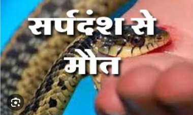 सर्प दंश से दो की मौत, झाड़ फूंक में व्यस्त रहे परिजन