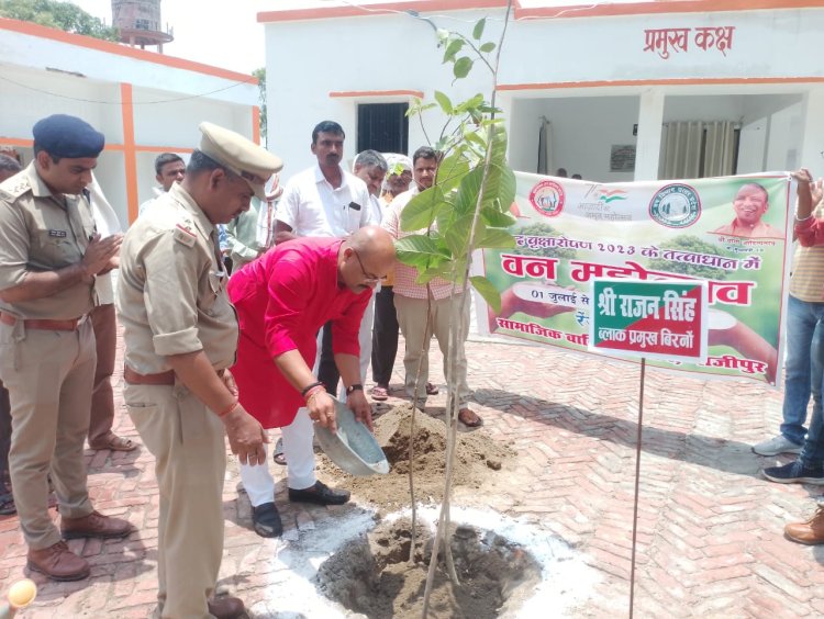बिरनो ब्लाक प्रमुख राजन सिंह ने पौधरोपण कर किया वन महोत्सव का शुरुवात 