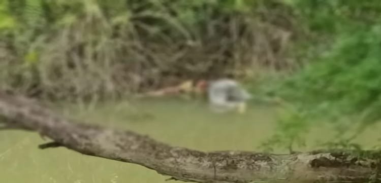 नदी किनारे मिला युवती का शव, शिनाख्त में जुटी पुलिस