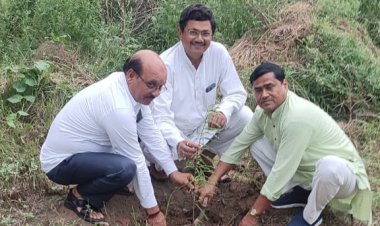 महर्षि नगर में 8 जुलाई से चल रहा है वृक्षारोपण कार्यक्रम