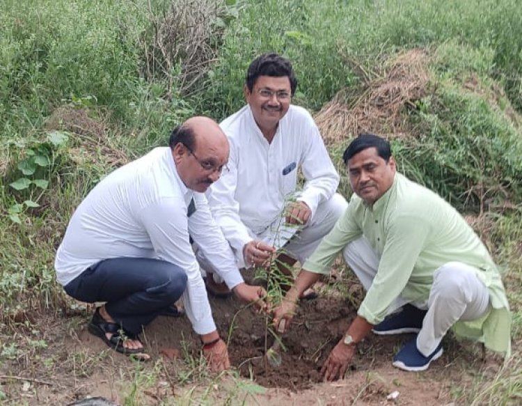 महर्षि नगर में 8 जुलाई से चल रहा है वृक्षारोपण कार्यक्रम