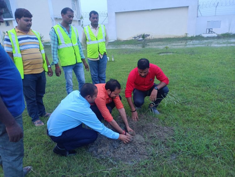 वाह एक ऐसा जन्मदिन गौ सेवा और पौधरोपण