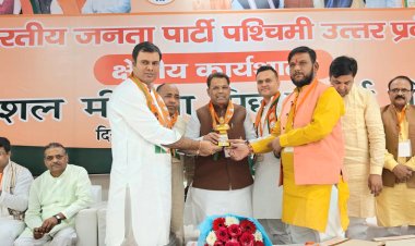 भाजपा पिछड़ा वर्ग मोर्चा ने की सोशल मीडिया पर कार्यशाला आयोजित