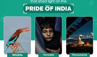 सोनी बीबीसी अर्थ ने ‘अर्थ इन फोकस’ फोटोग्राफी कॉन्टेस्ट के विजेताओं की घोषणा की 