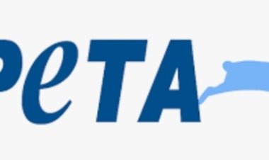 PETA इंडिया ने 'भारतीय न्याय संहिता' विधेयक 2023 के तहत जानवरों के खिलाफ यौन हिंसा को अपराध के रूप में शामिल न करने के खिलाफ आवाज उठाई