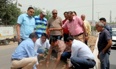 लघु उद्योग भारती ग्रेटर नोएडा चैप्टर ने लगाए पौधे