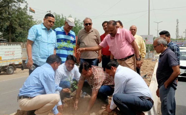 लघु उद्योग भारती ग्रेटर नोएडा चैप्टर ने लगाए पौधे