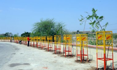 मिराज ग्रुप द्वारा 1 करोड़ वृक्षारोपण अभियान का संकल्प