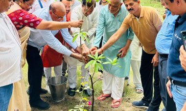 नोएडा लोक मंच द्वारा बृहद वृक्षारोपण