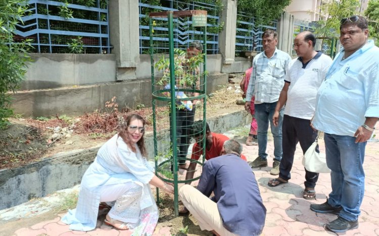 समाजसेवी सुखमनी ढिल्लन ने किया वृक्षारोपण, 2019 में शुरू किया, अब तक लगाए 1000 पौधे