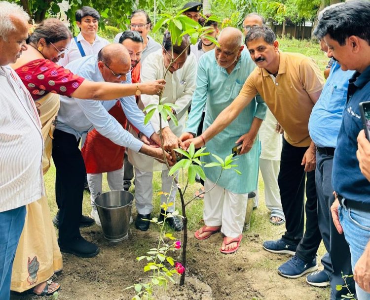 नोएडा लोक मंच द्वारा बृहद वृक्षारोपण
